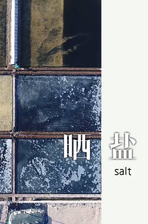晒盐